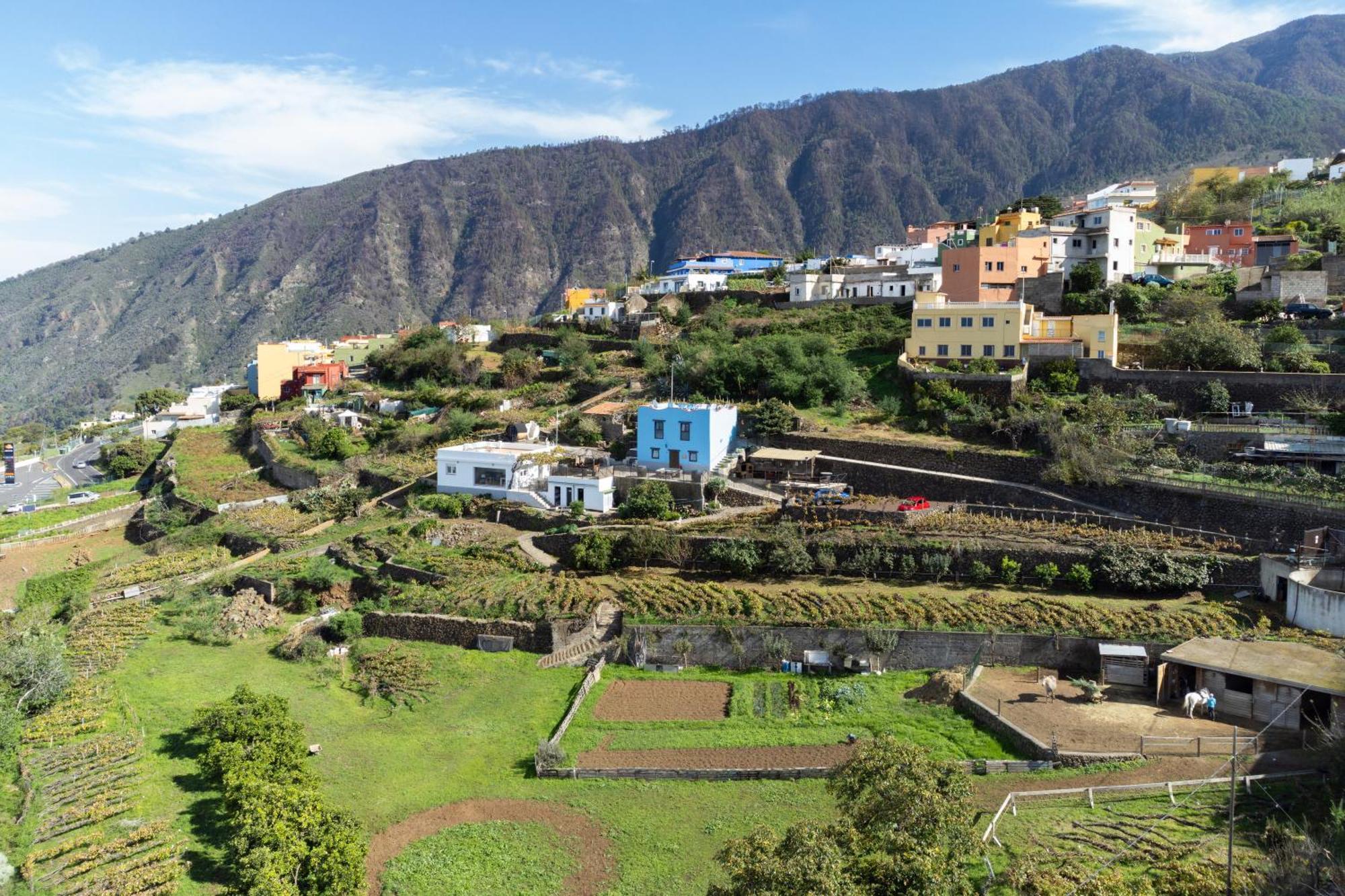 Ek Teide Finca El Milagro ลาโอโรตาวา ภายนอก รูปภาพ