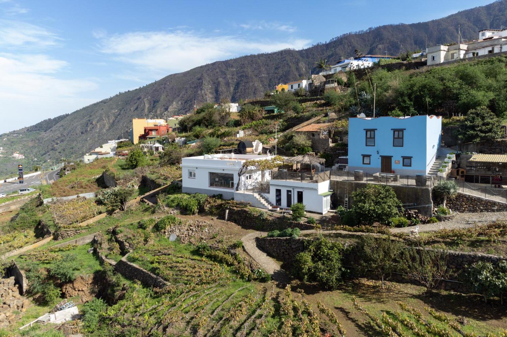 Ek Teide Finca El Milagro ลาโอโรตาวา ภายนอก รูปภาพ