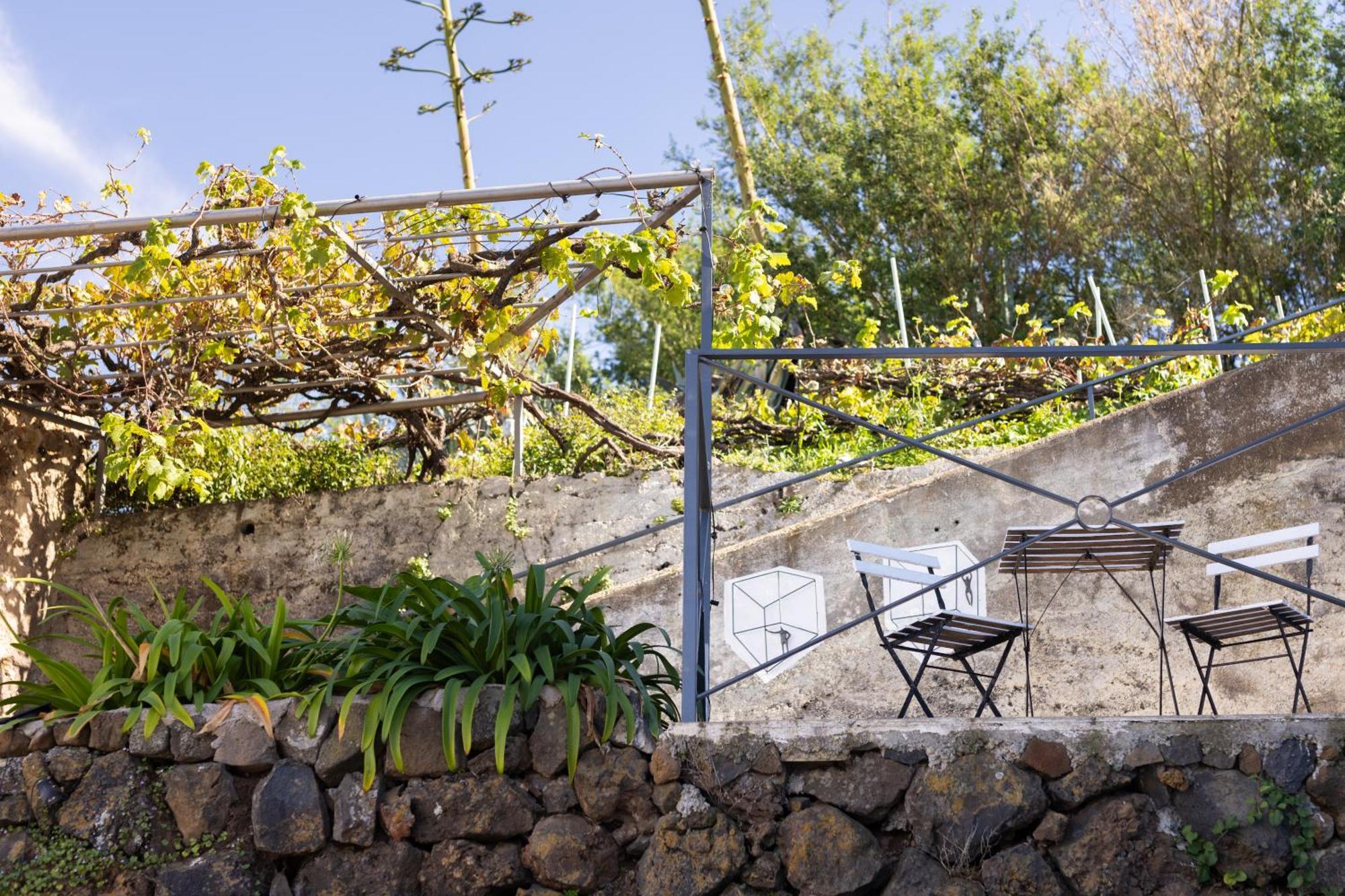 Ek Teide Finca El Milagro ลาโอโรตาวา ภายนอก รูปภาพ